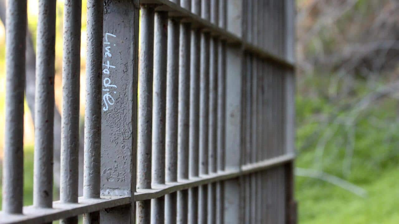 Prison-crime