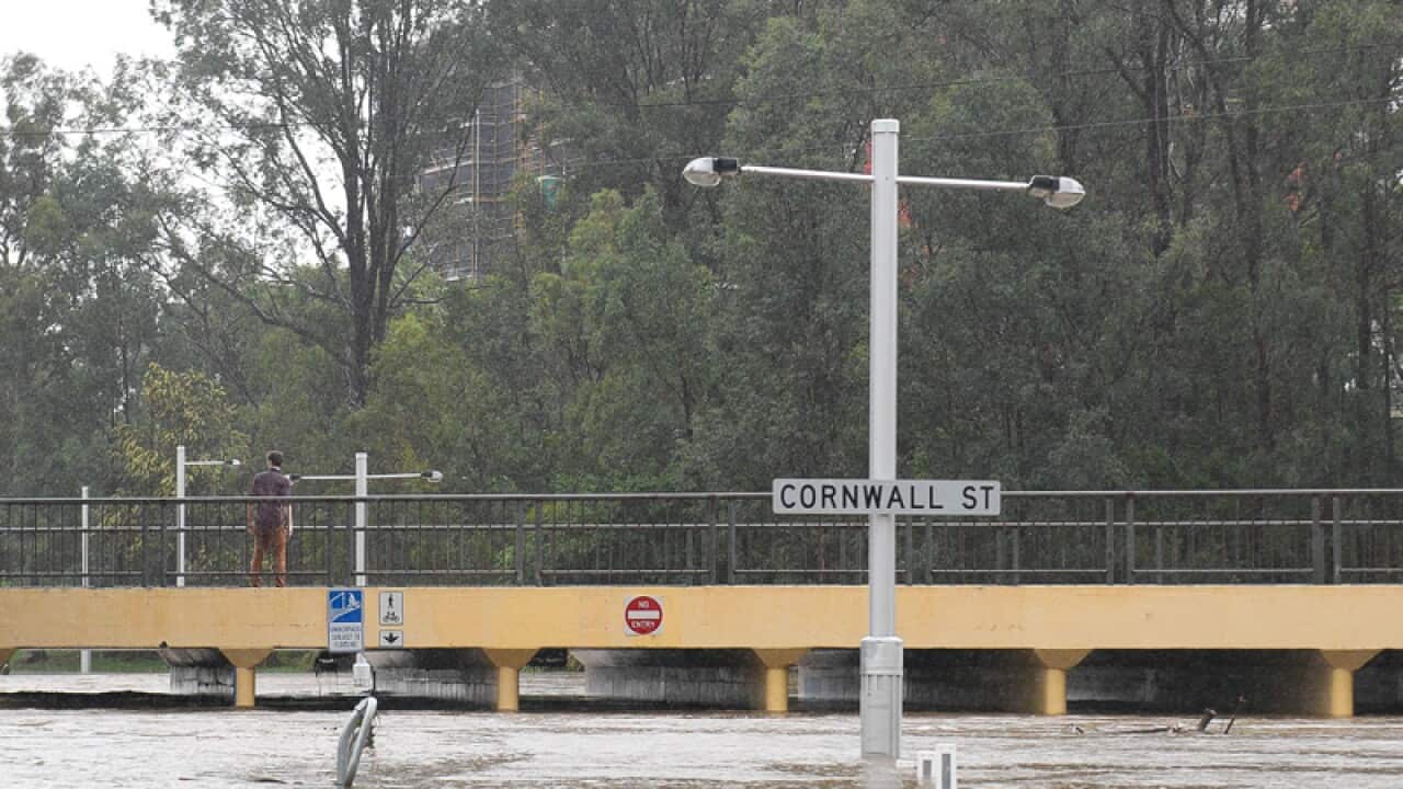 Jones Park and the South East Freeway Bikeway, south of Brisbane