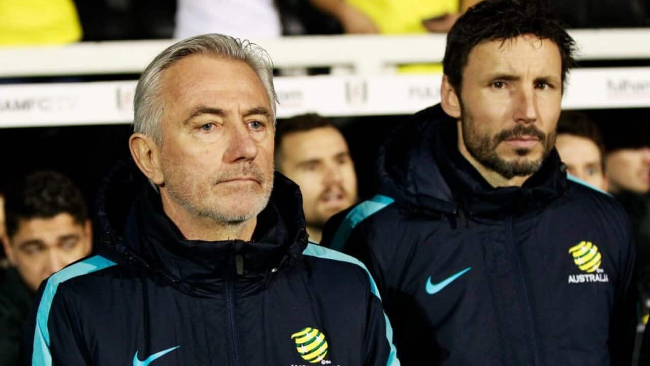 Van Marwijk Van Bommel