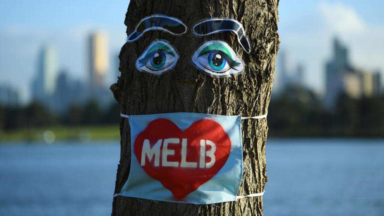 Coronavirus-inspired artwork attached to a tree near Albert Park in Melbourne.