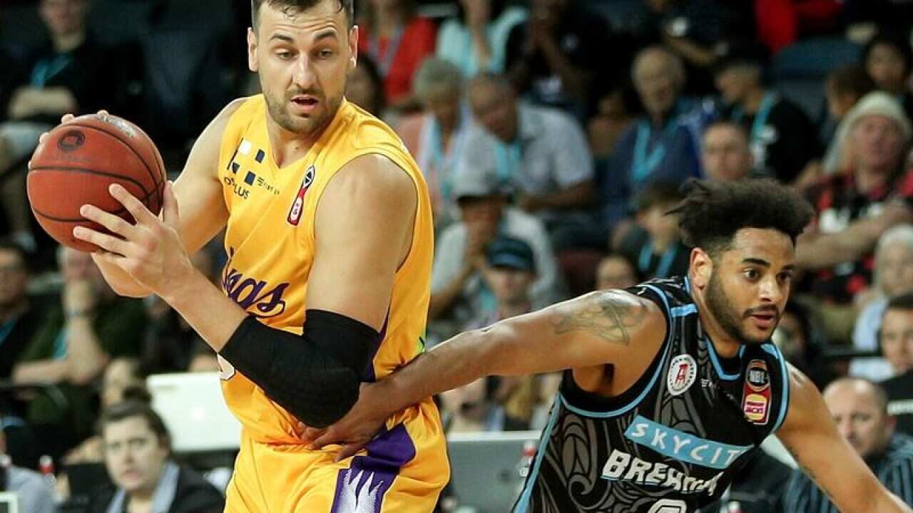 Andrew Bogut