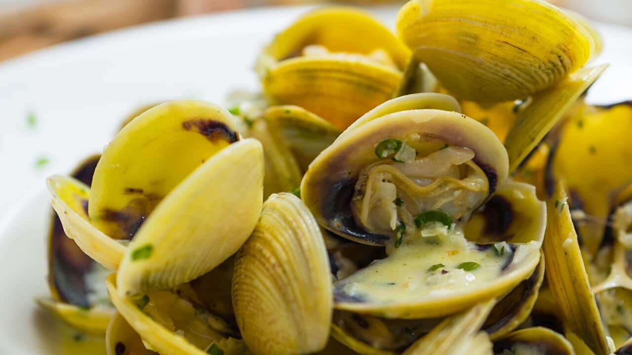Lemon myrtle-scented white wine clams