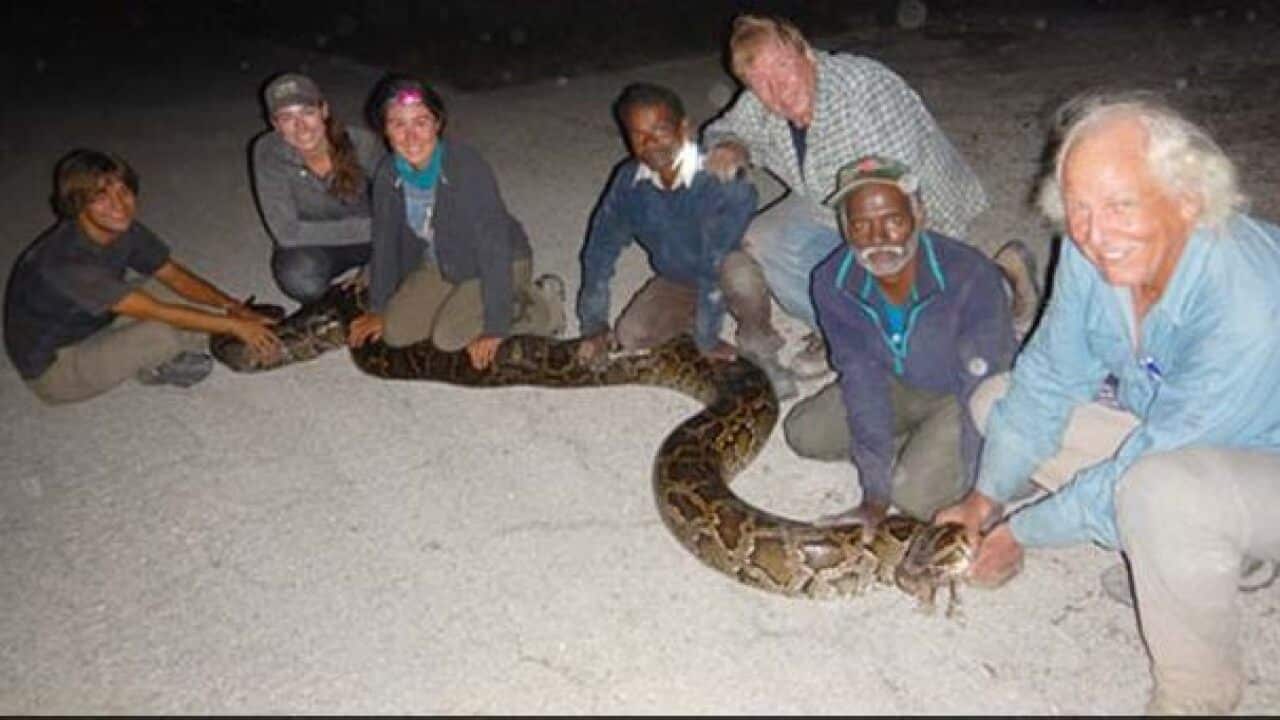Snake hunters