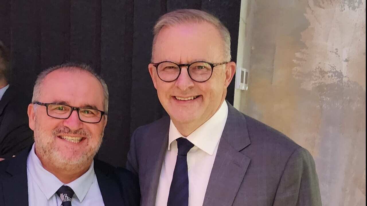 Albanese.jpg