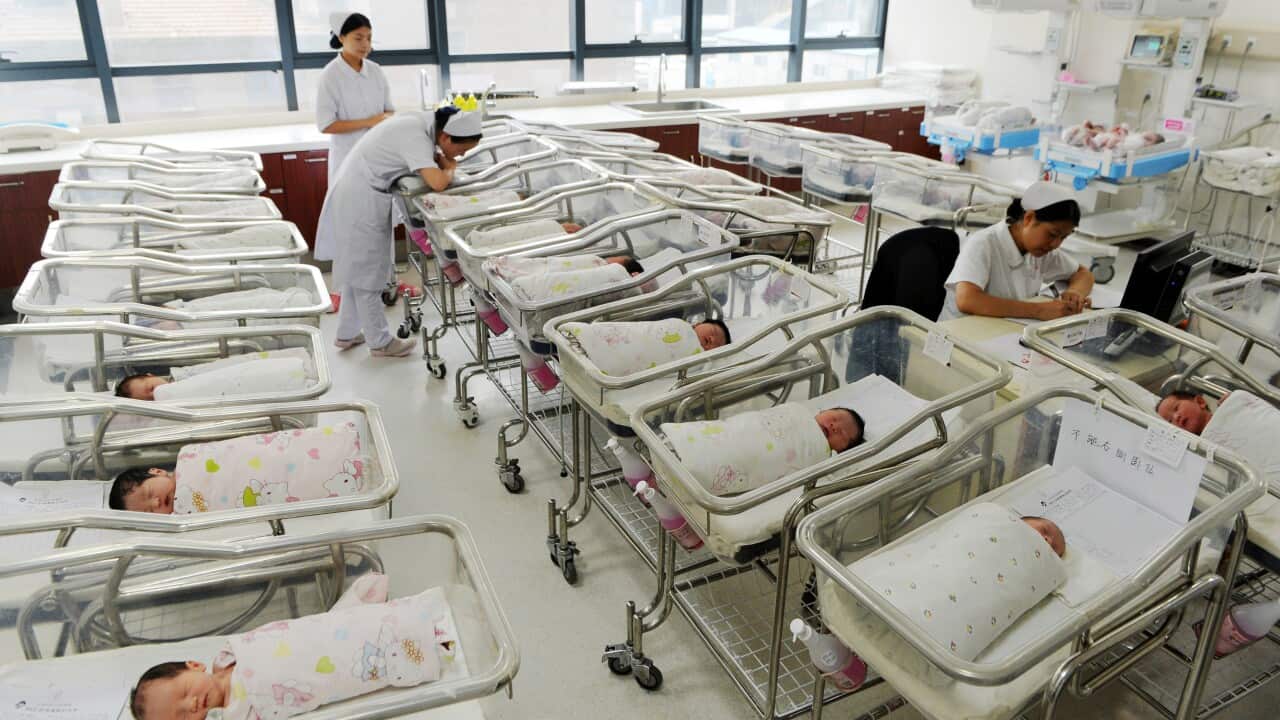 Chinese nurses attend newborn infants at a hospital in Lanzhou city, northwest China's Gansu province