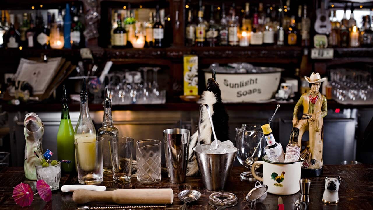 Shady Pines Saloon_0174.jpg