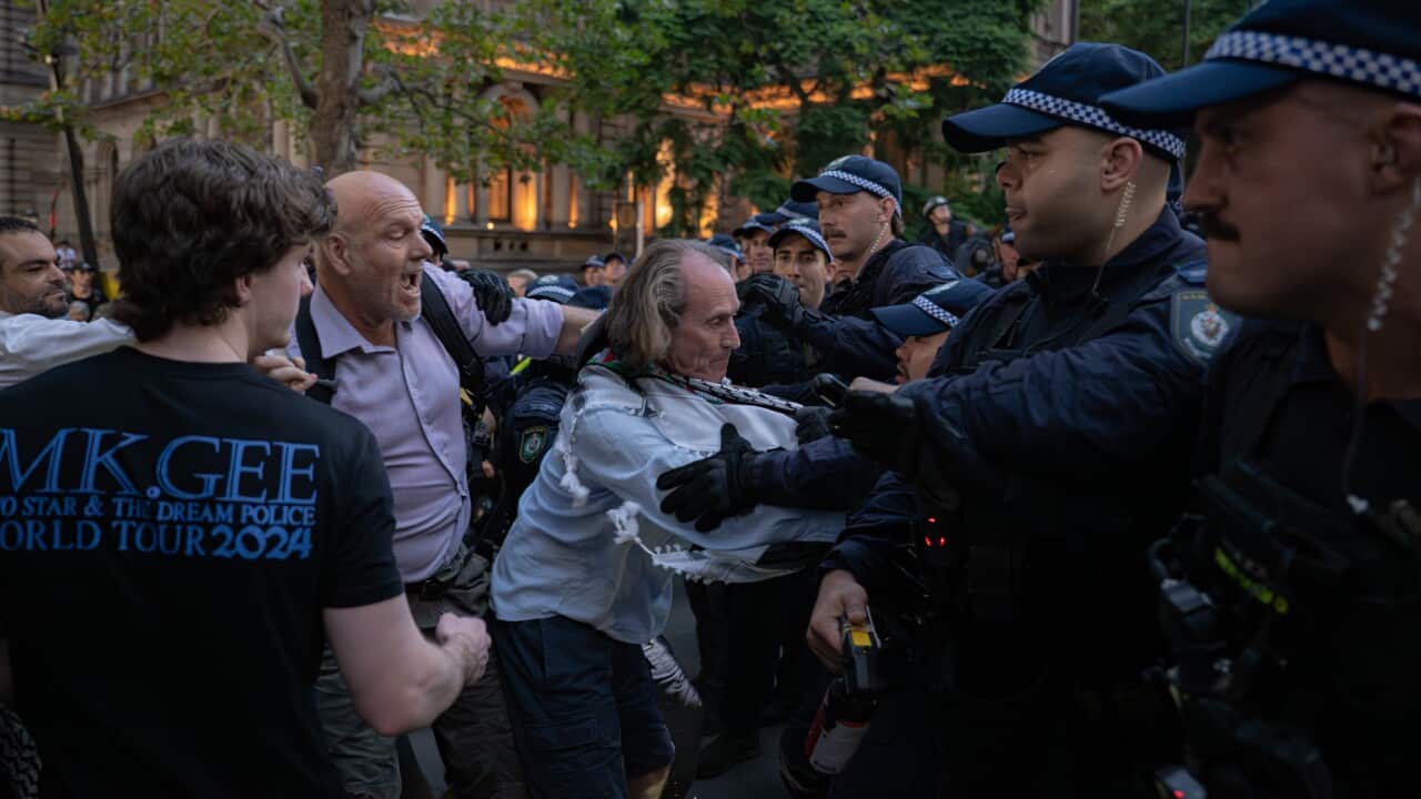 A pro-Palestinian protester clashed with police