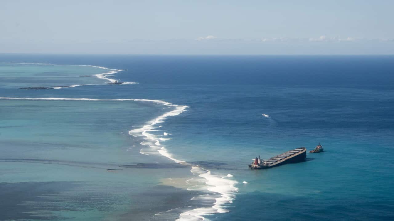 An undated handout photo made available by the French General Staff Army in Mauritius shows oil drifting ashore over coral reefs from the MV Wakashio.
