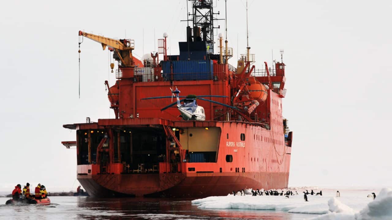 Aurora Australis, Antarctica