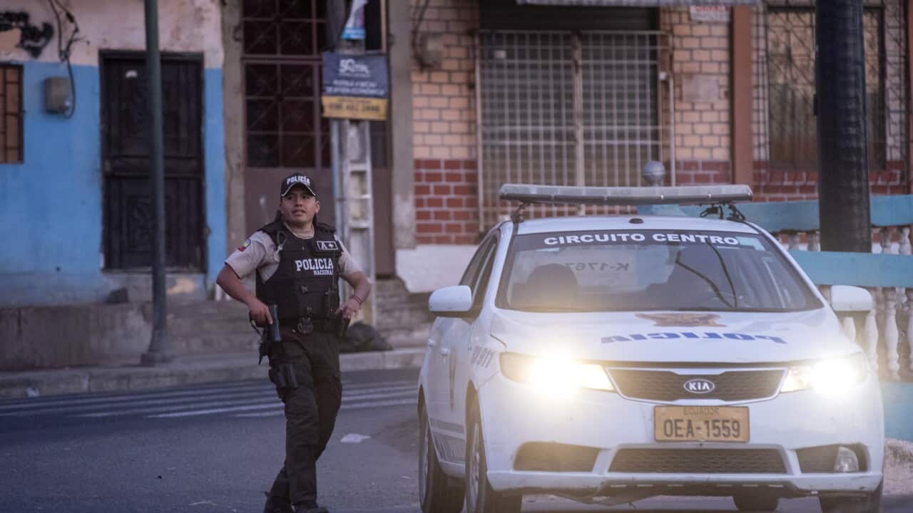 Image for read more article 'Contenido relacionado:'