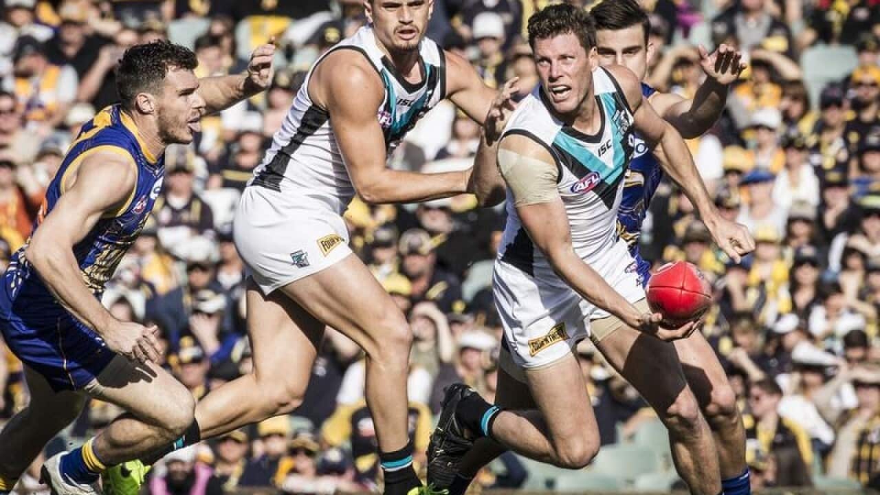 Port Adelaide during the Round 16 AFL match