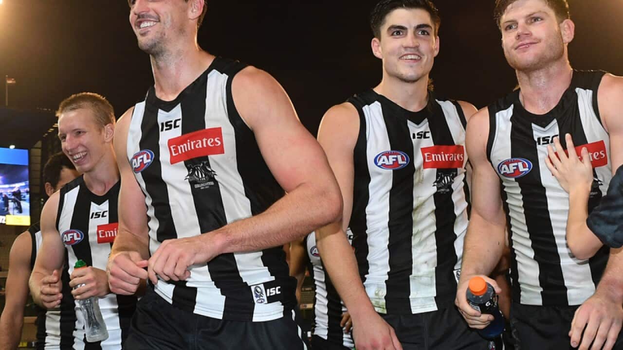 Collingwood Magpies