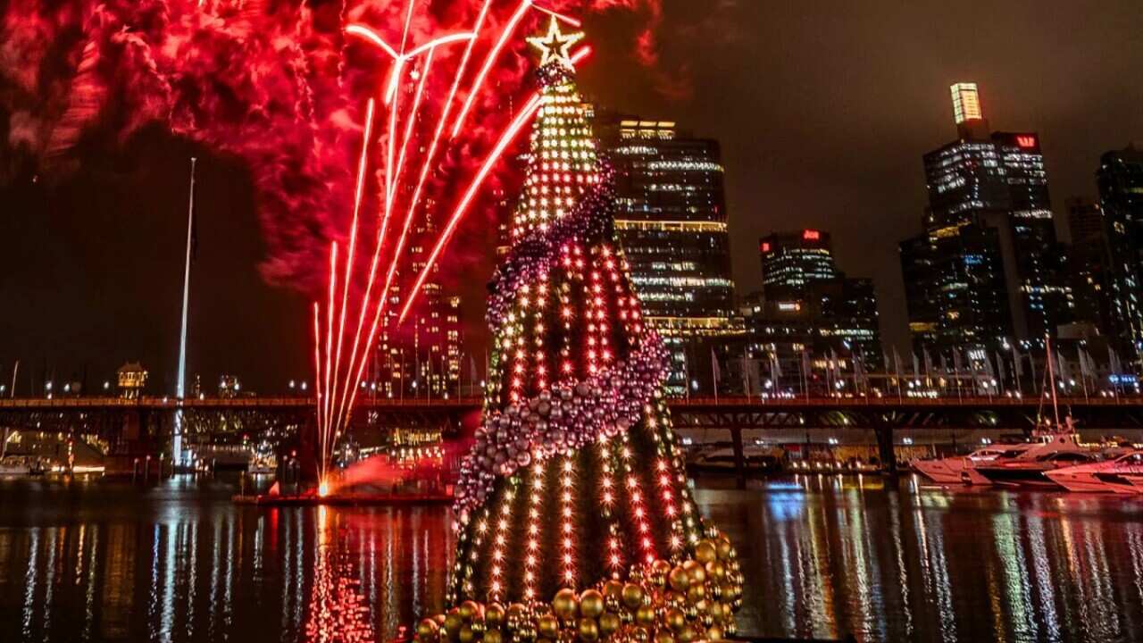 Christmas tree in Martin Place