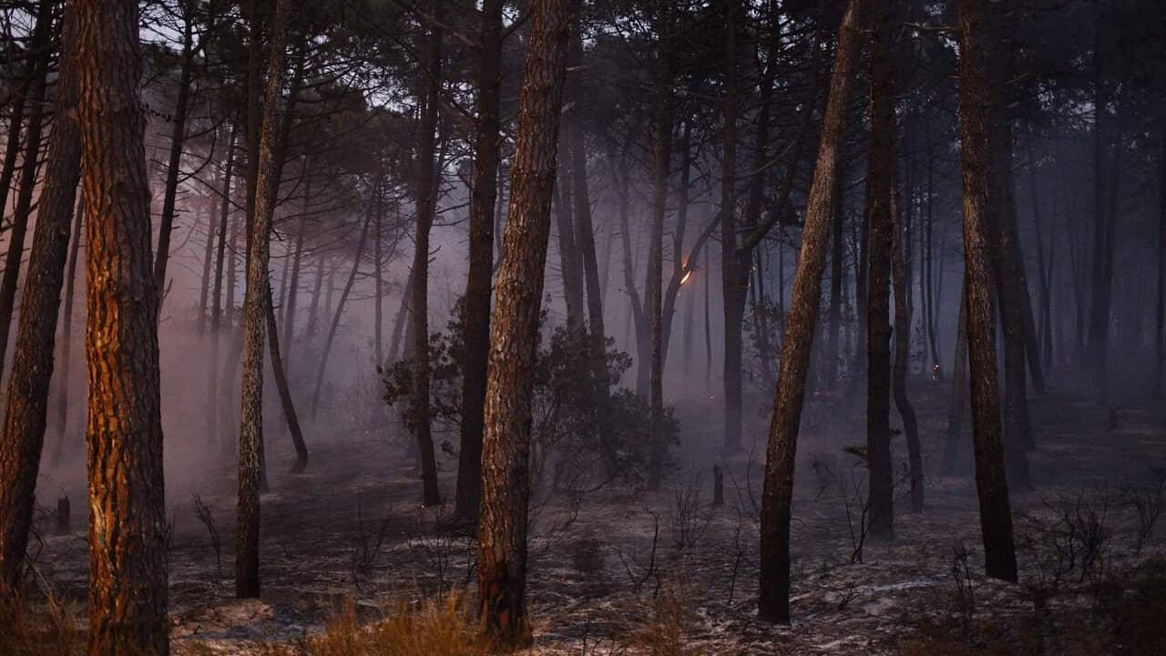 At least 41 people have died in fires in Portugal and 4 others in Spain as Ophelia winds were hitting the North West of the Iberian Peninsule.