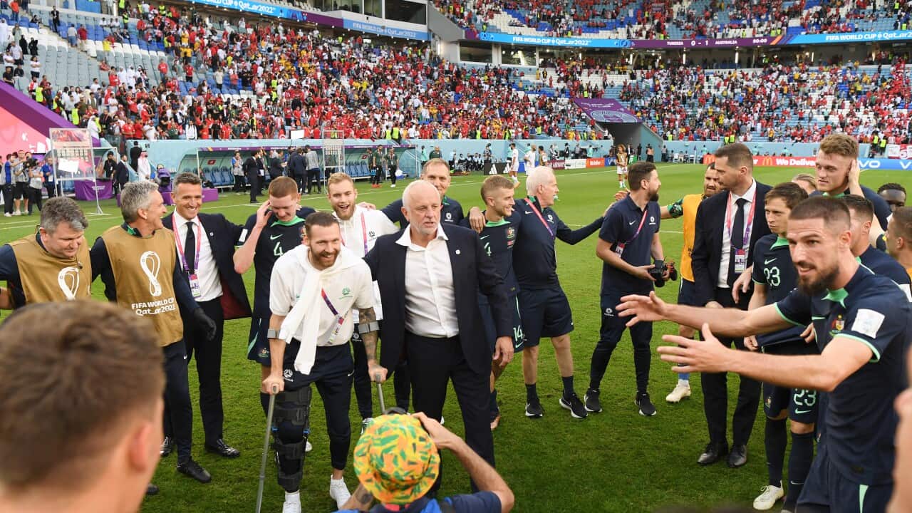 Tunisia v Australia: Group D - FIFA World Cup Qatar 2022