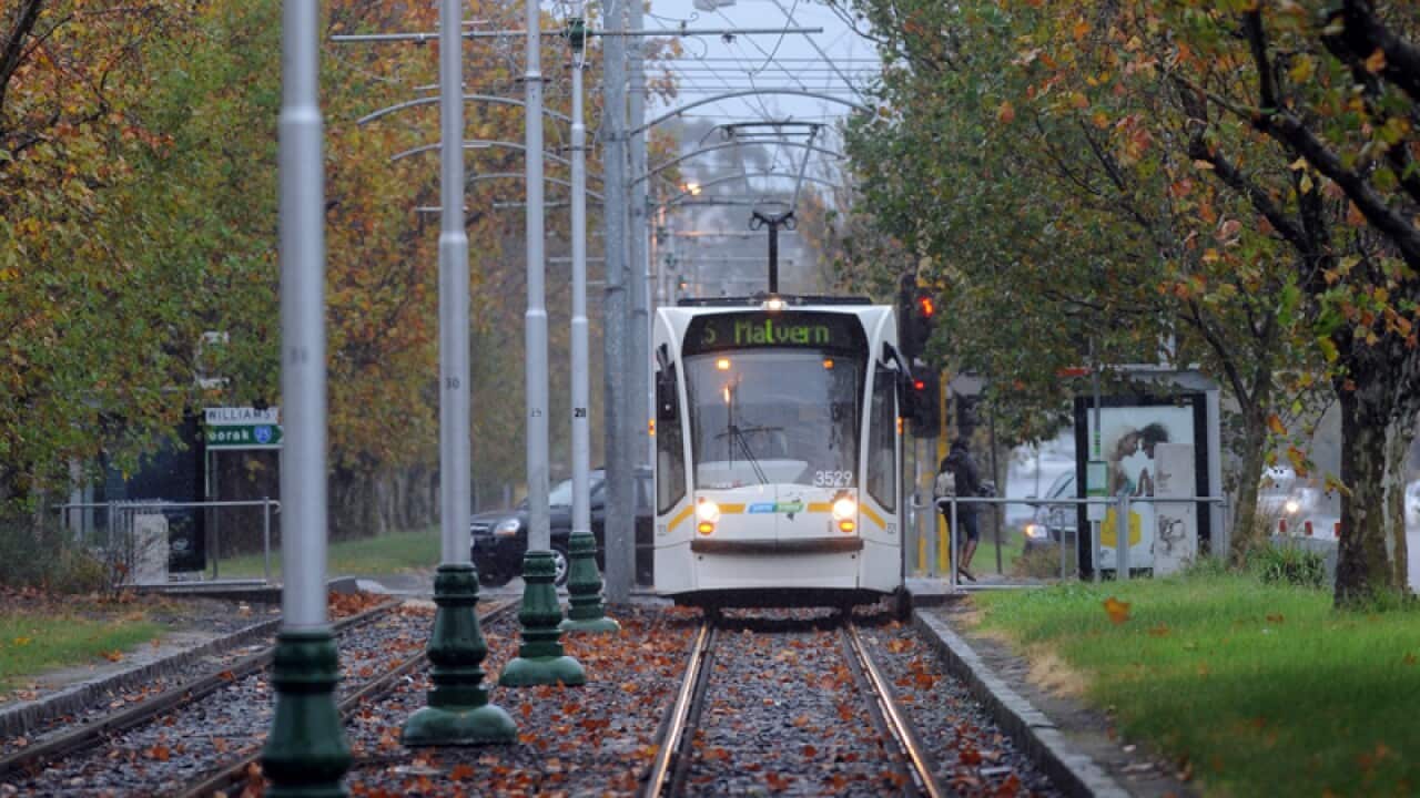 Trams travel along tracks in Melbourne