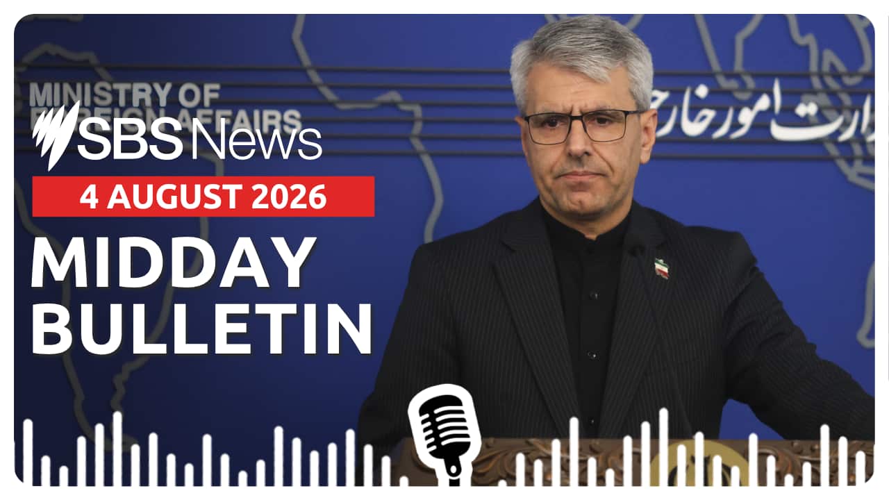 MIDDAY BULLETIN 040826.png