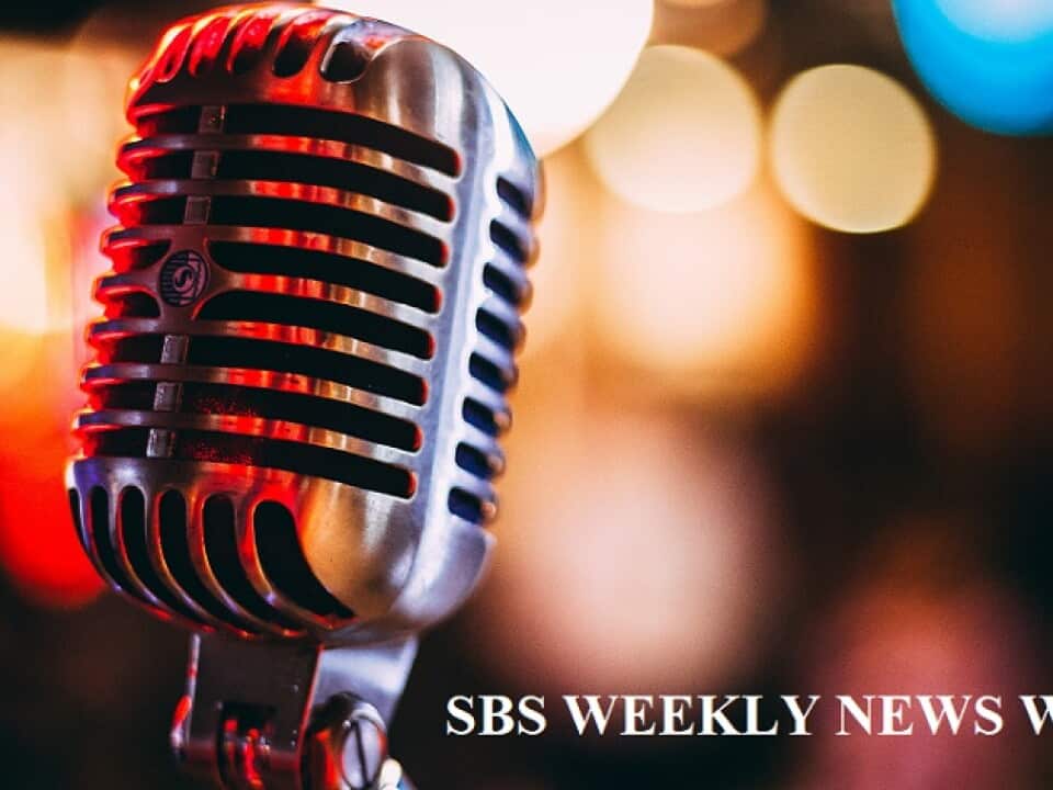 WEEKLY NEWS WRAP