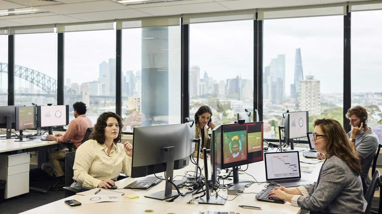 Business professionals working on computers