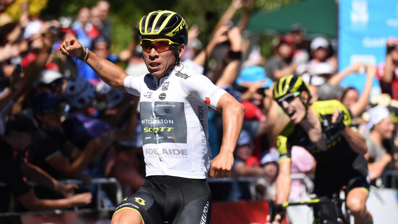 Caleb Ewan wins stage 2 of the 2018 Tour Down Under