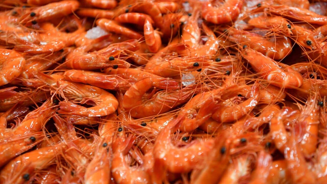 Fresh Australian prawns