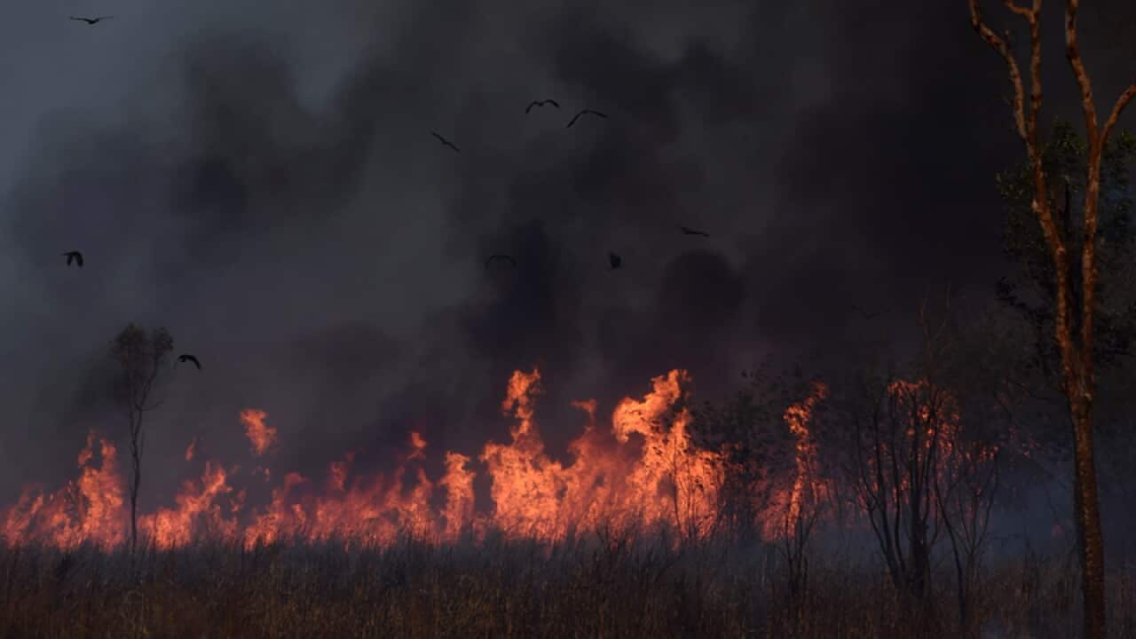 A grass fire hazard reduction burn
