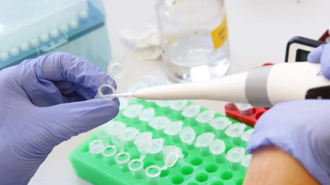 A scientist works in a medical lab
