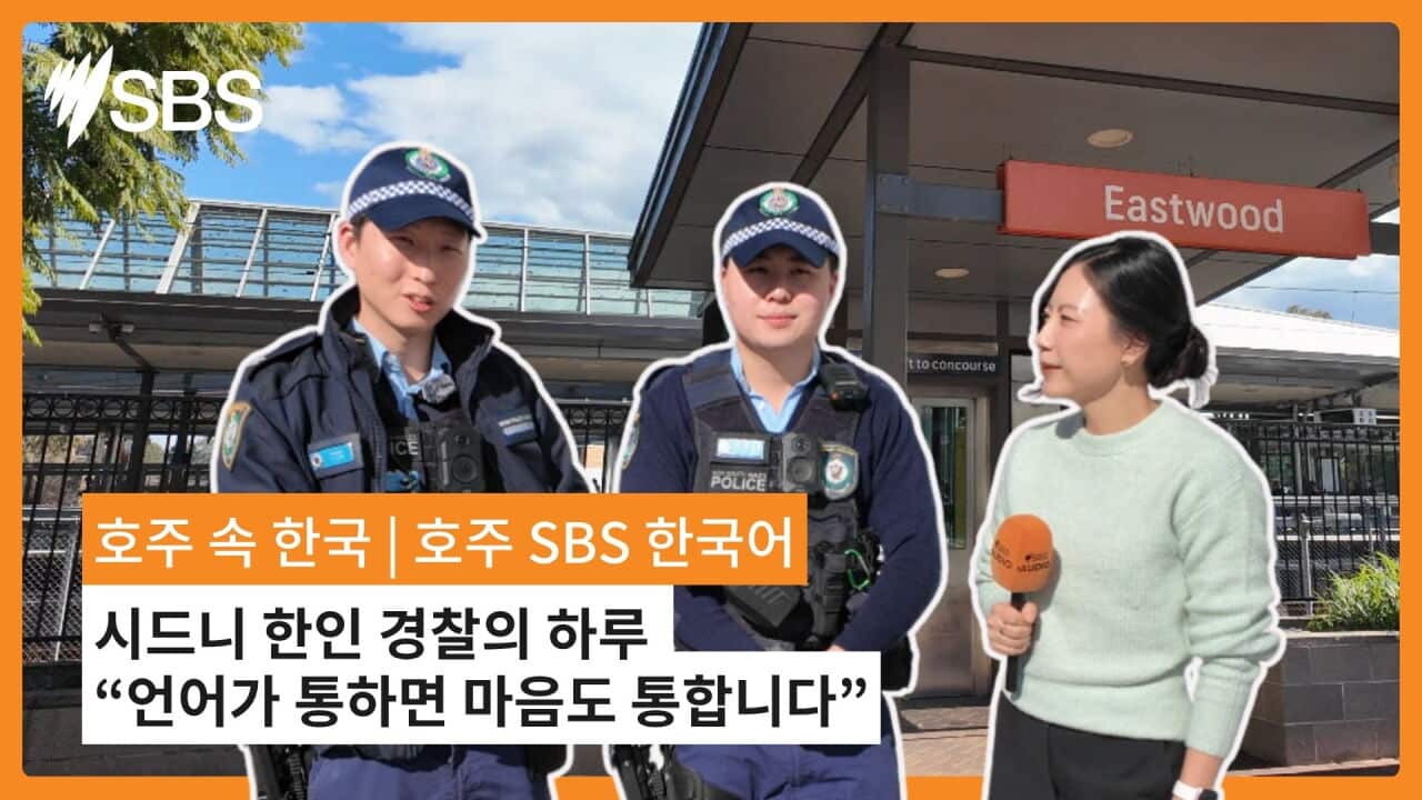 유튜브 호주 속 한국 한국 속 호주 (1).jpg