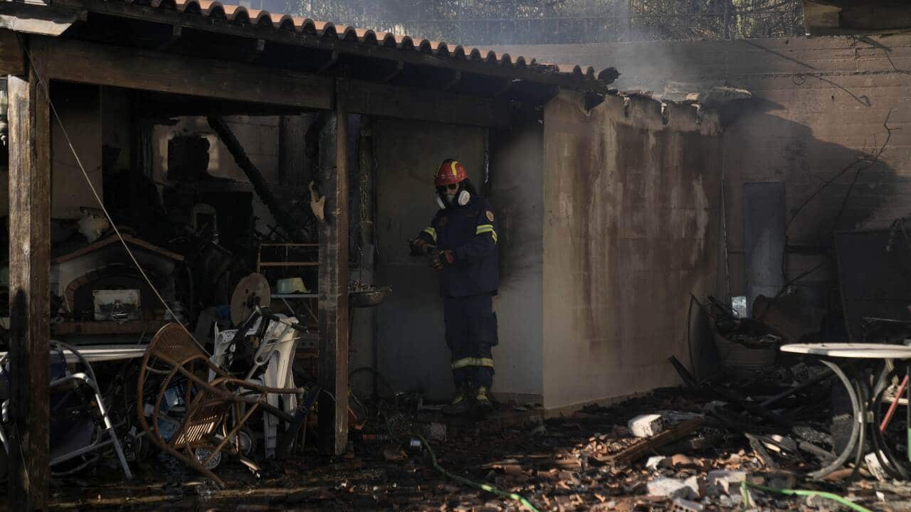 Greece Wildfire