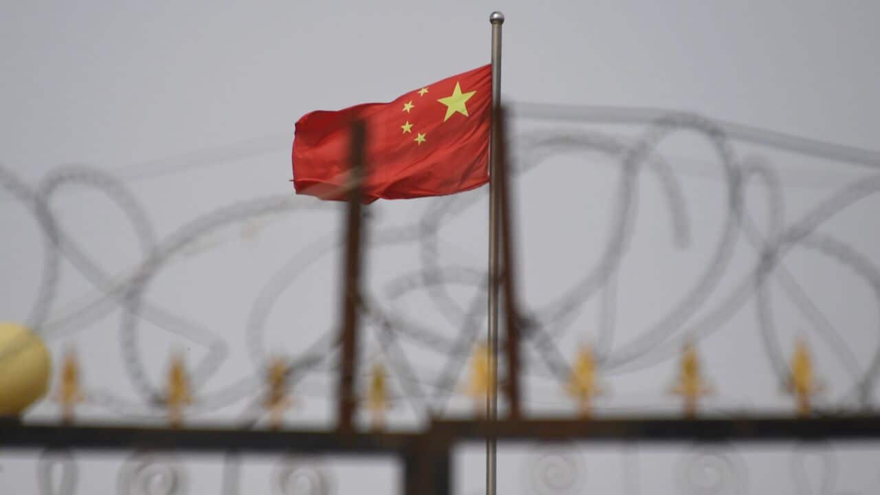 UN rights experts claim Chinese minorities targeted in organ harvesting.