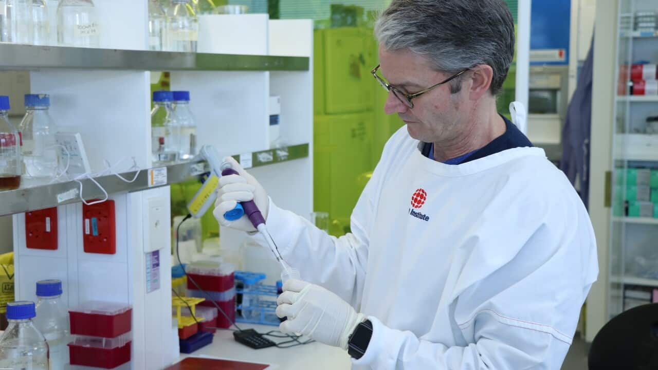 Professor Branden Crabb