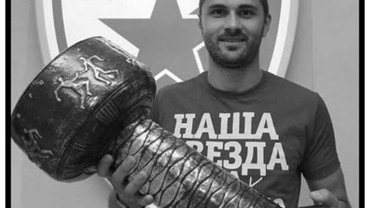 Goran Gogic (http://www.crvenazvezdafk.com/)