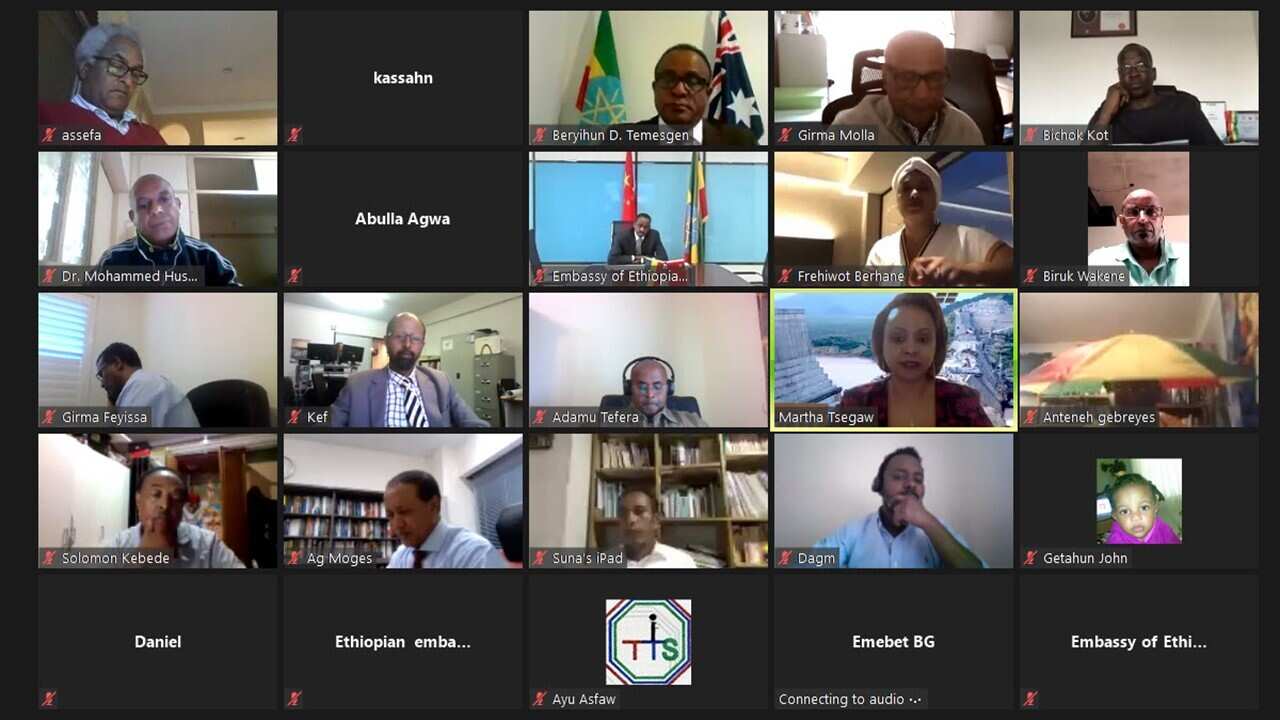 Ethiopian diaspora GERD