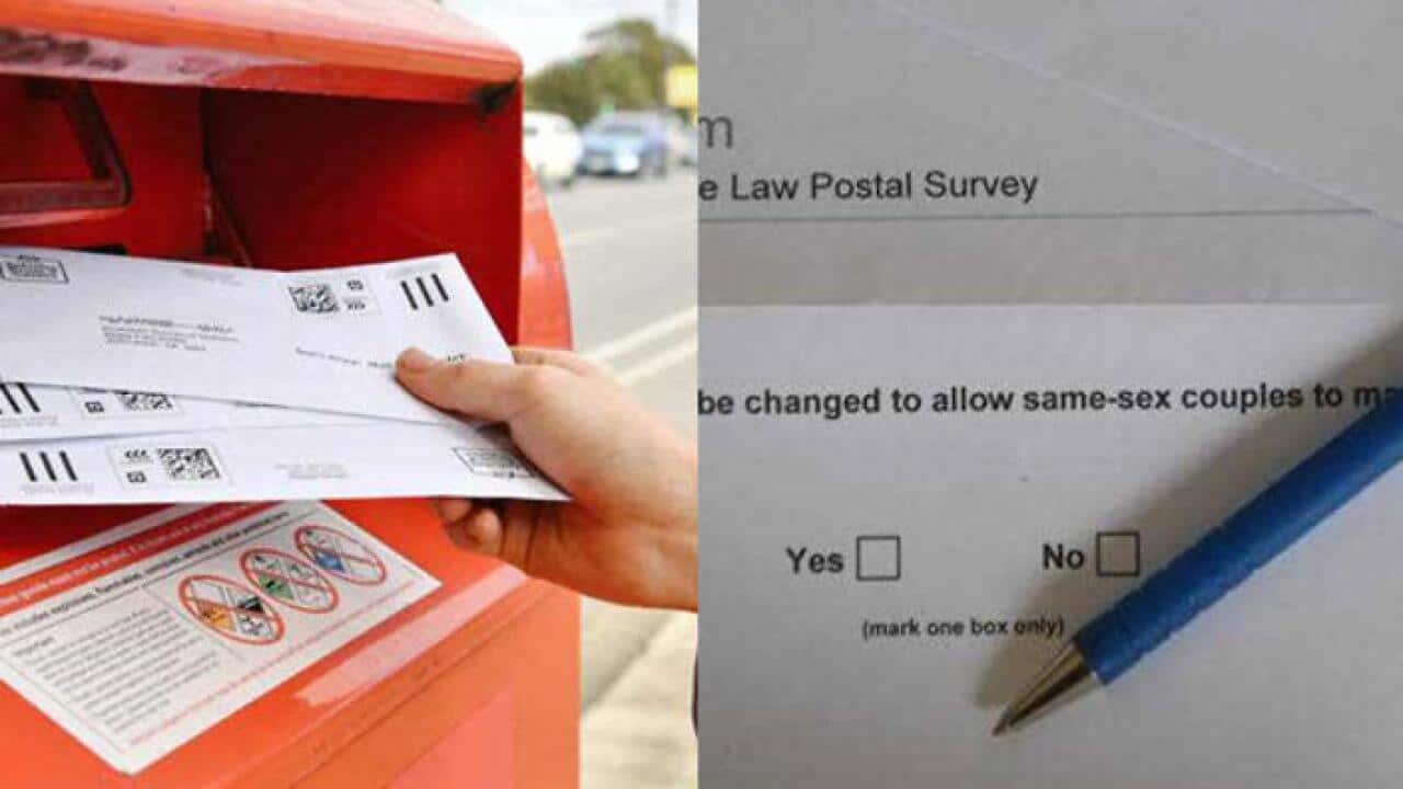 SSM postal vote has reached the halfway point.