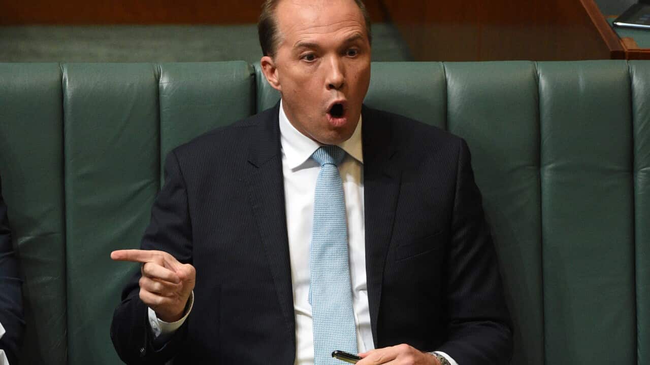Federal Minister for Immigration Peter Dutton during Question Time at Parliament House in Canberra on Tuesday, Feb. 23, 2016. (AAP Image/Mick Tsikas) NO ARCHIVING