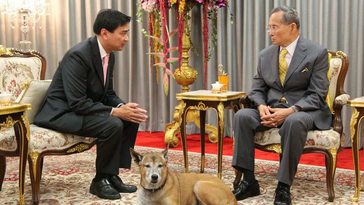 Thai King Bhumibol Adulyadej (R) talks to Thai Prime Minister Abhisit Vejjajiva (L) as a King's favourite dog sits in middle.