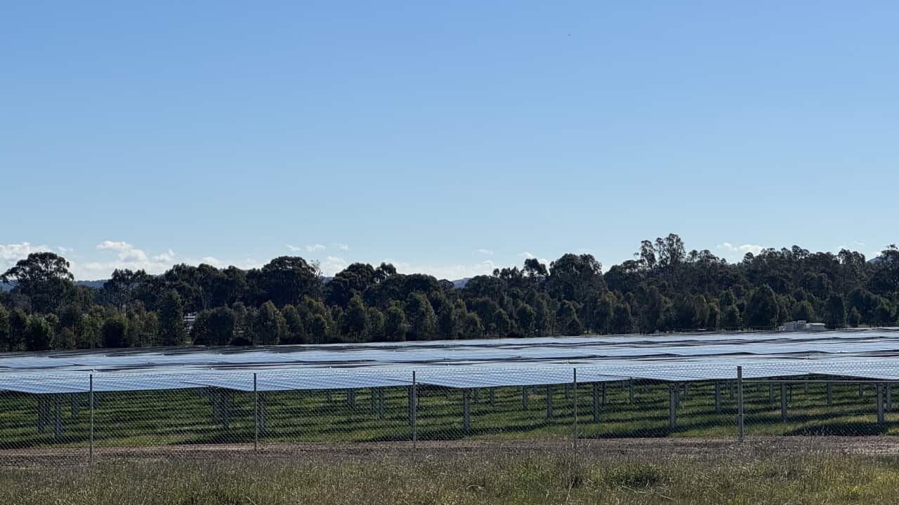 Solar farm at Glenrowan Victoria.jpg