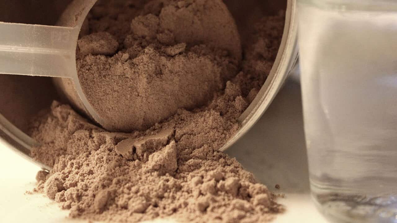 Protein powder