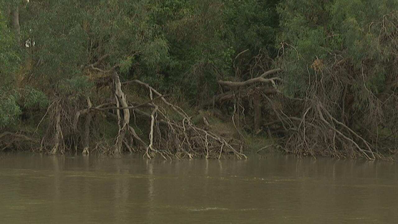 Murray-Darling water plan 'still dividing communities'