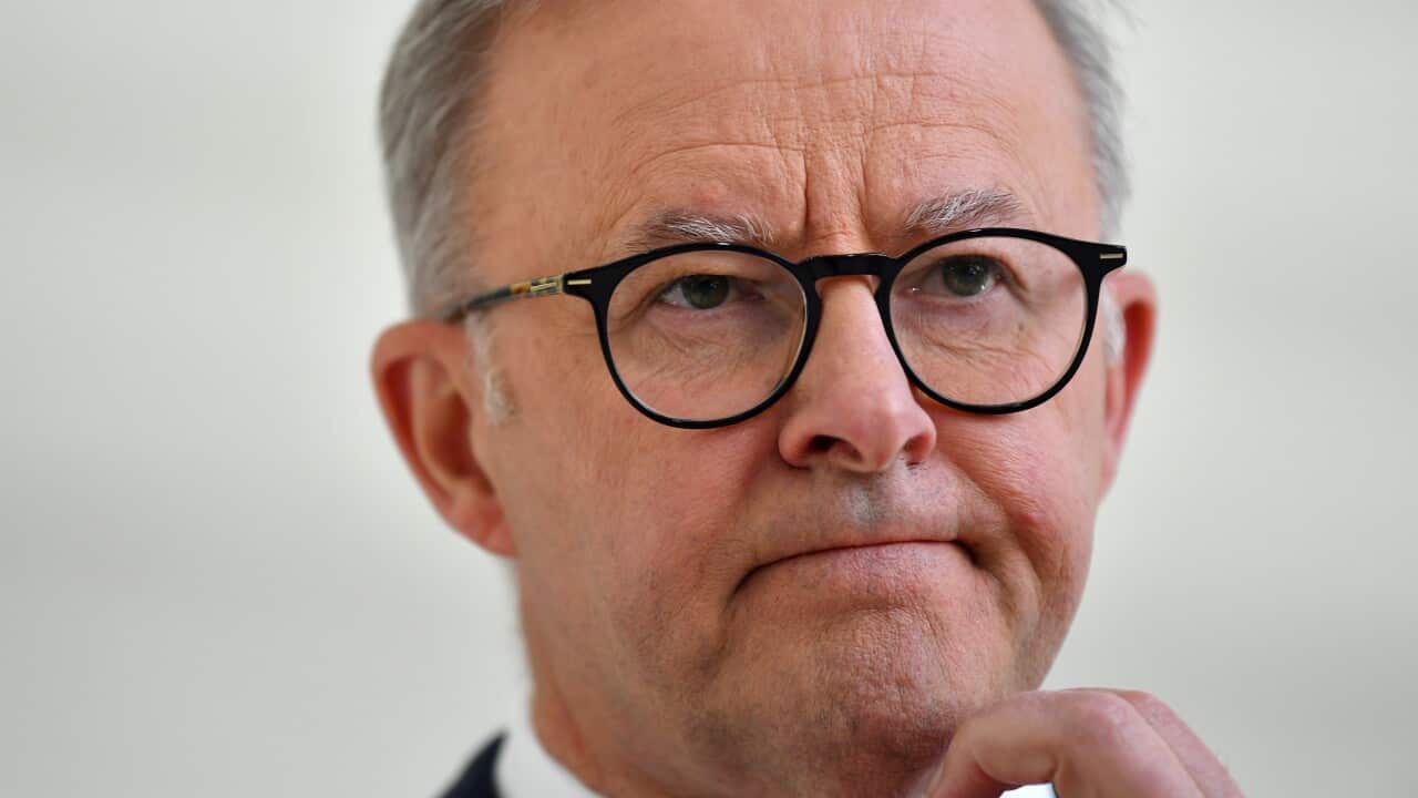 ANTHONY ALBANESE SYDNEY VISIT