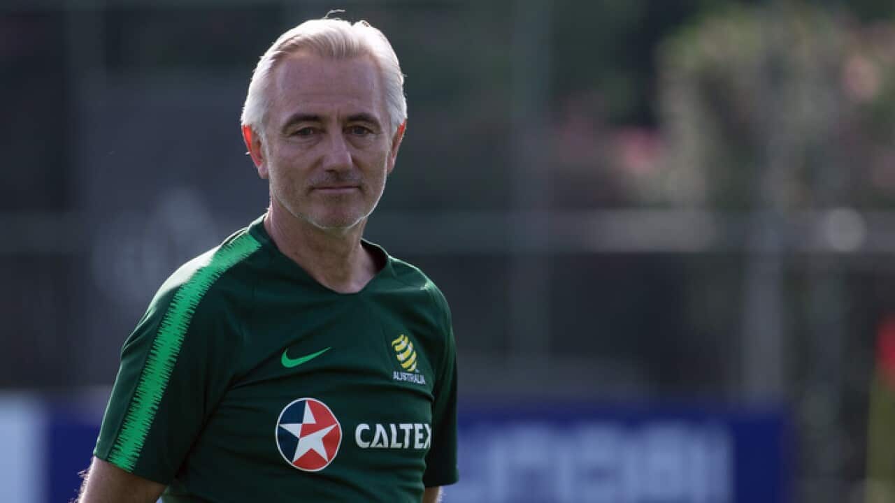 Australian Socceroos coach Bert van Marwijk at their 2018 FIFA World Cup training camp in Antalya, Turkey