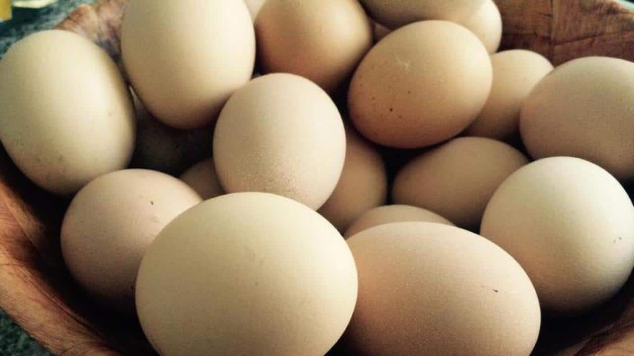Eggs