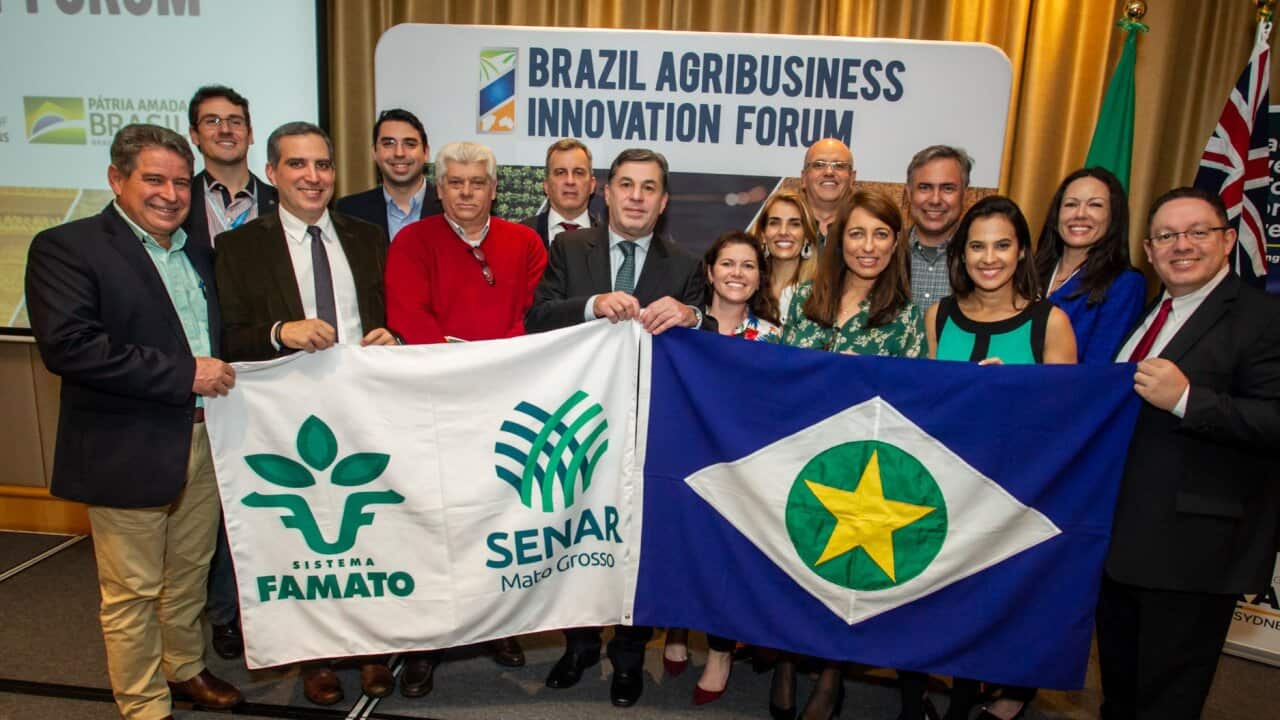 Image for read more article ''