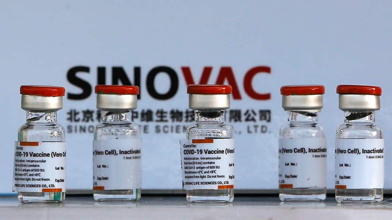 Vials of the Sinovac COVID-1 vaccine (Chaiwat SubprasomSOPA ImagesLightRocket via Getty Images).jpg