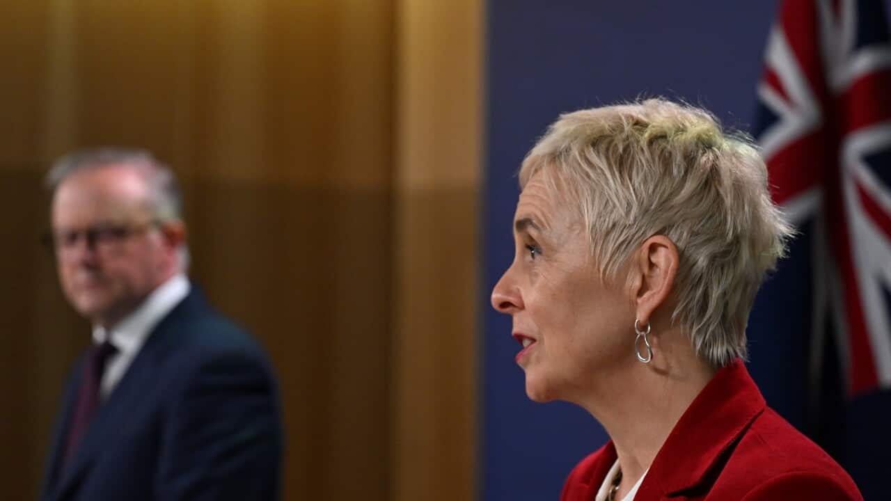 ANTHONY ALBANESE PRESSER