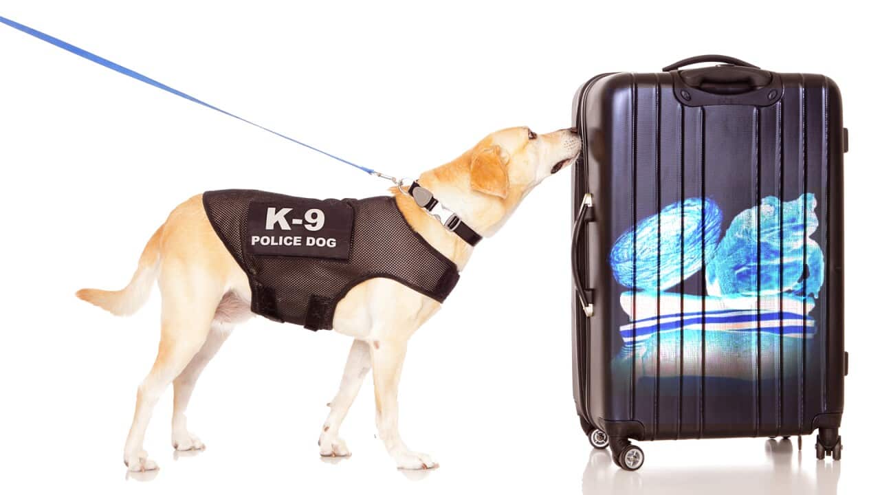 Image for read more article 'READ MORE'