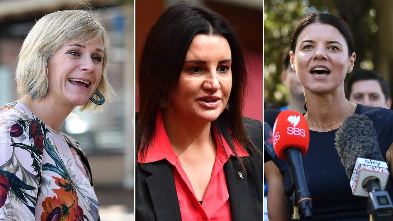 Some of the women set to be in the next parliament.