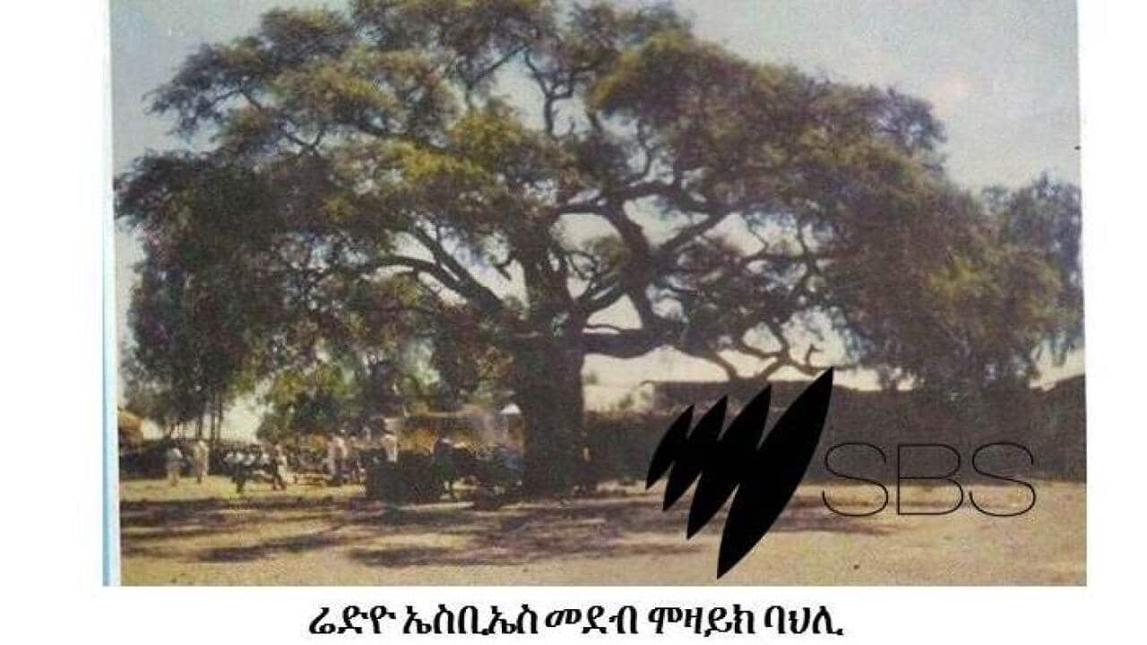 Traditional assembly area