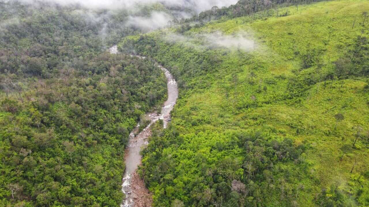 Prey_lang - Winrock_international.jpg