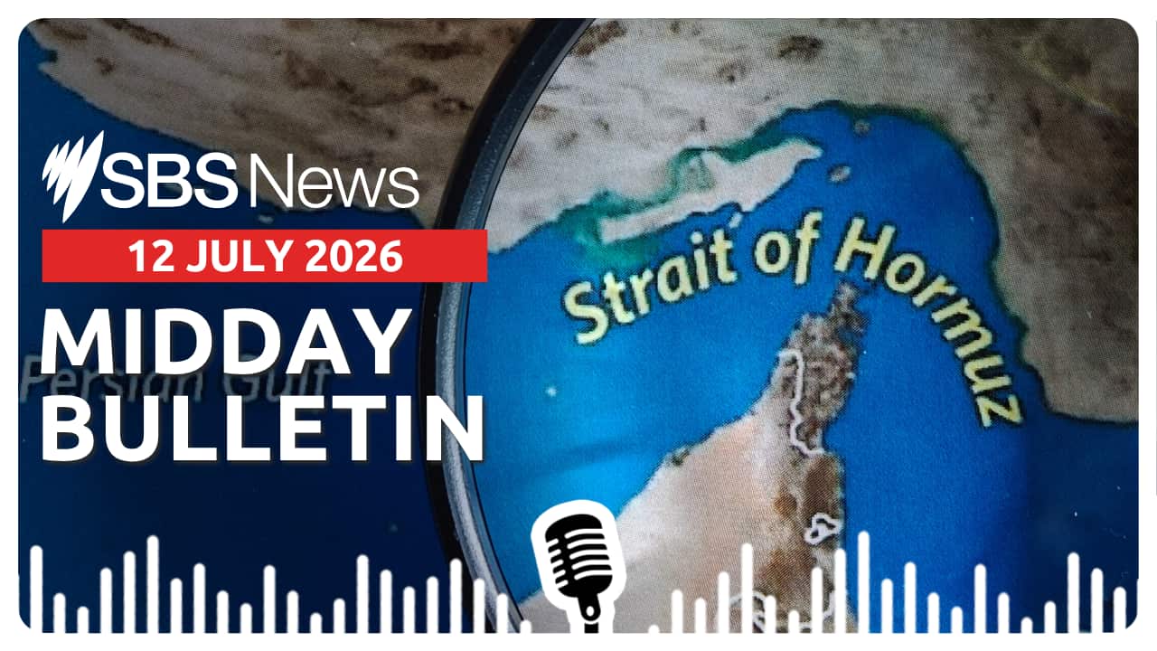 MIDDAY BULLETIN (1).png